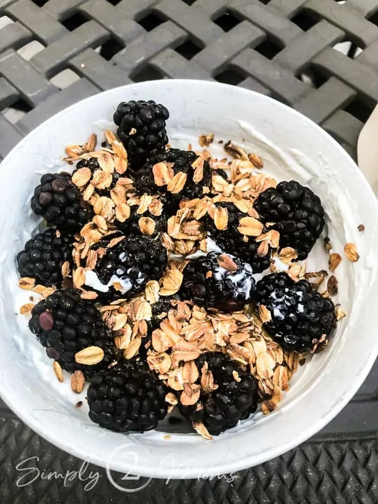 41+ Fast Healthy Meal Ideas Every Drive Thru Sue Will Love!