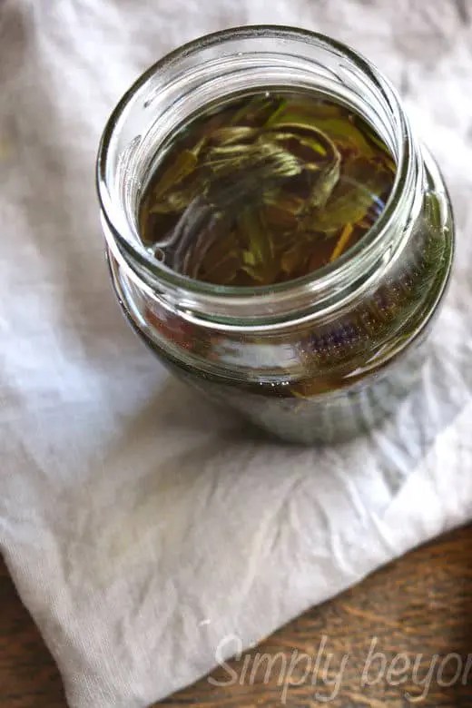 10 secret uses of Plantain Oil SimplyBeyondHerbs