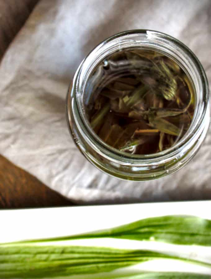 10 secret uses of Plantain Oil SimplyBeyondHerbs