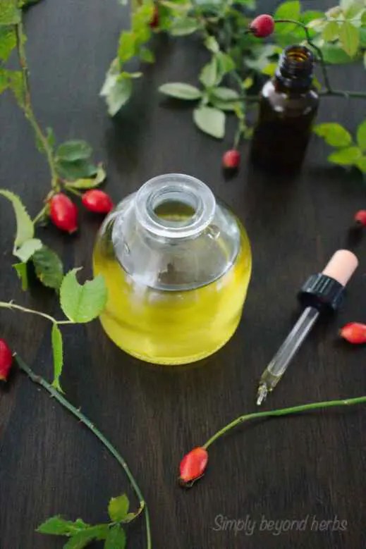 How to make rosehip oil + 15 ways to use it SimplyBeyondHerbs