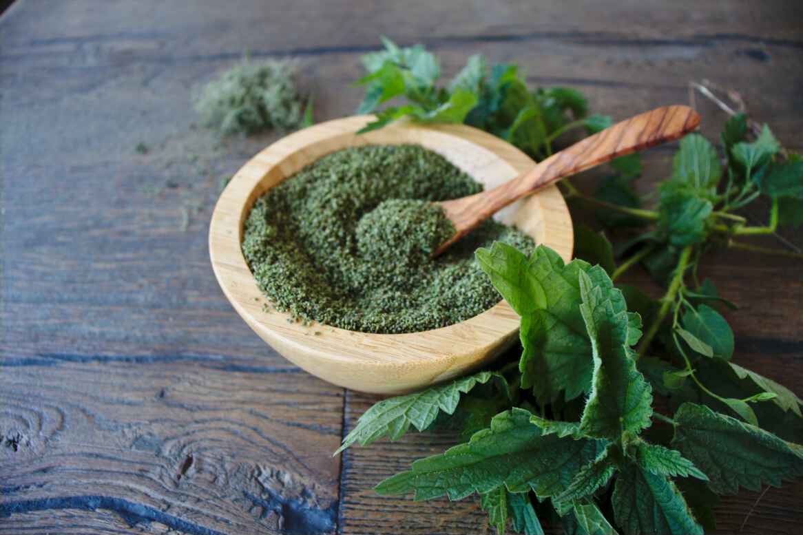 Benefits of stinging nettle seeds and their uses in recipes