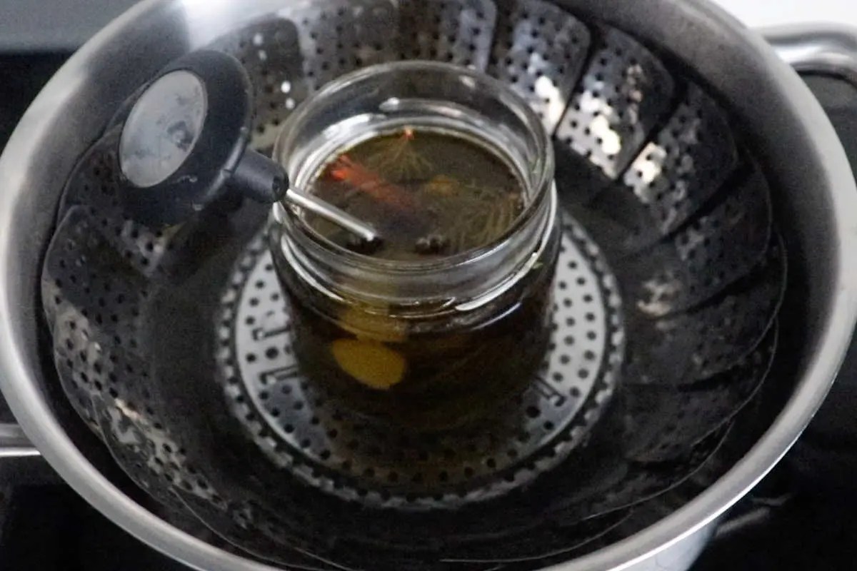 Pine needle oil for winter wellness SimplyBeyondHerbs