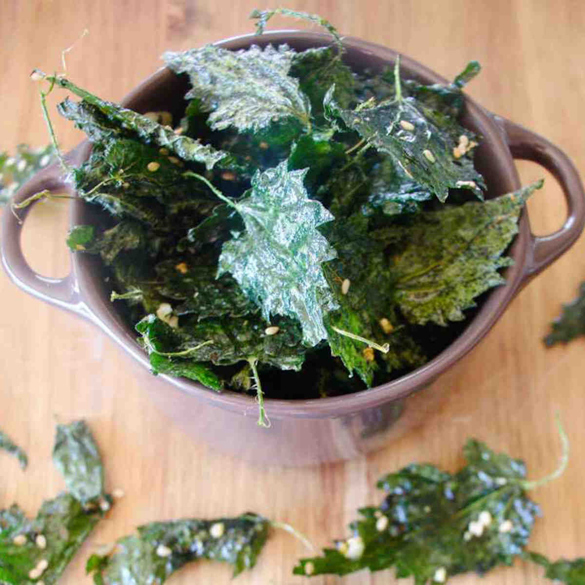 Eating Nettles and Stinging nettle recipes SimplyBeyondHerbs