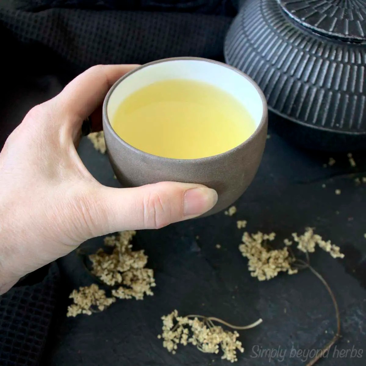 Elderflower tea 3 ways to make (Potent Flu Remedy) SimplyBeyondHerbs