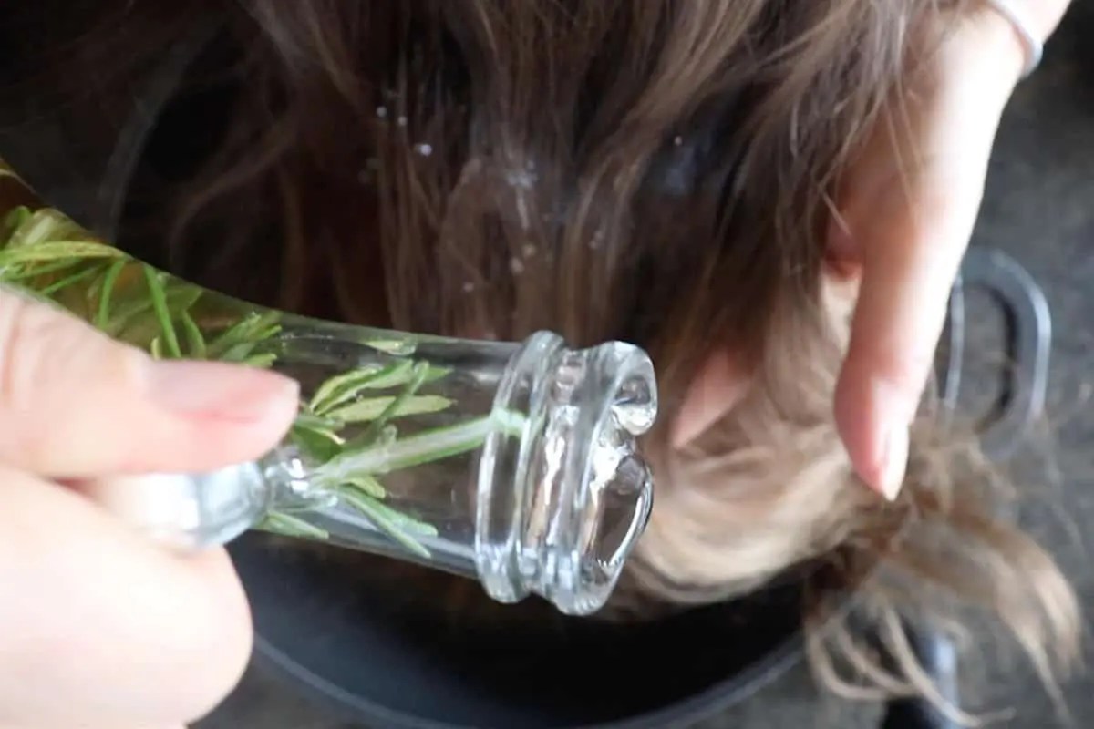 Rosemary water hair rinse for hair growth SimplyBeyondHerbs