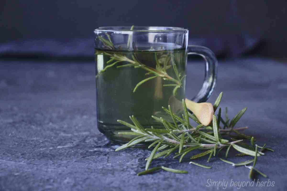 Fragrant Rosemary Tea Recipe SimplyBeyondHerbs