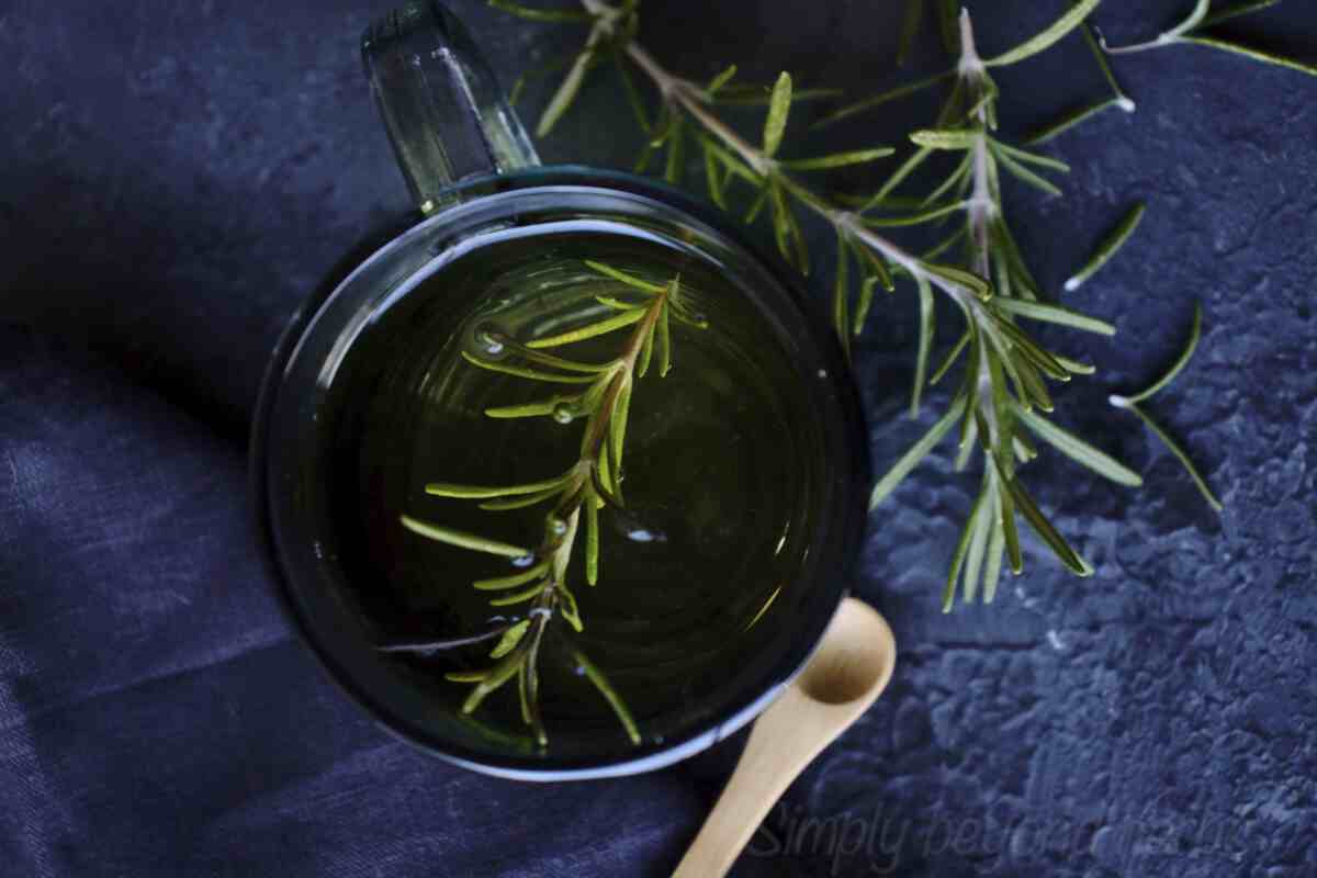 Fragrant Rosemary Tea Recipe SimplyBeyondHerbs