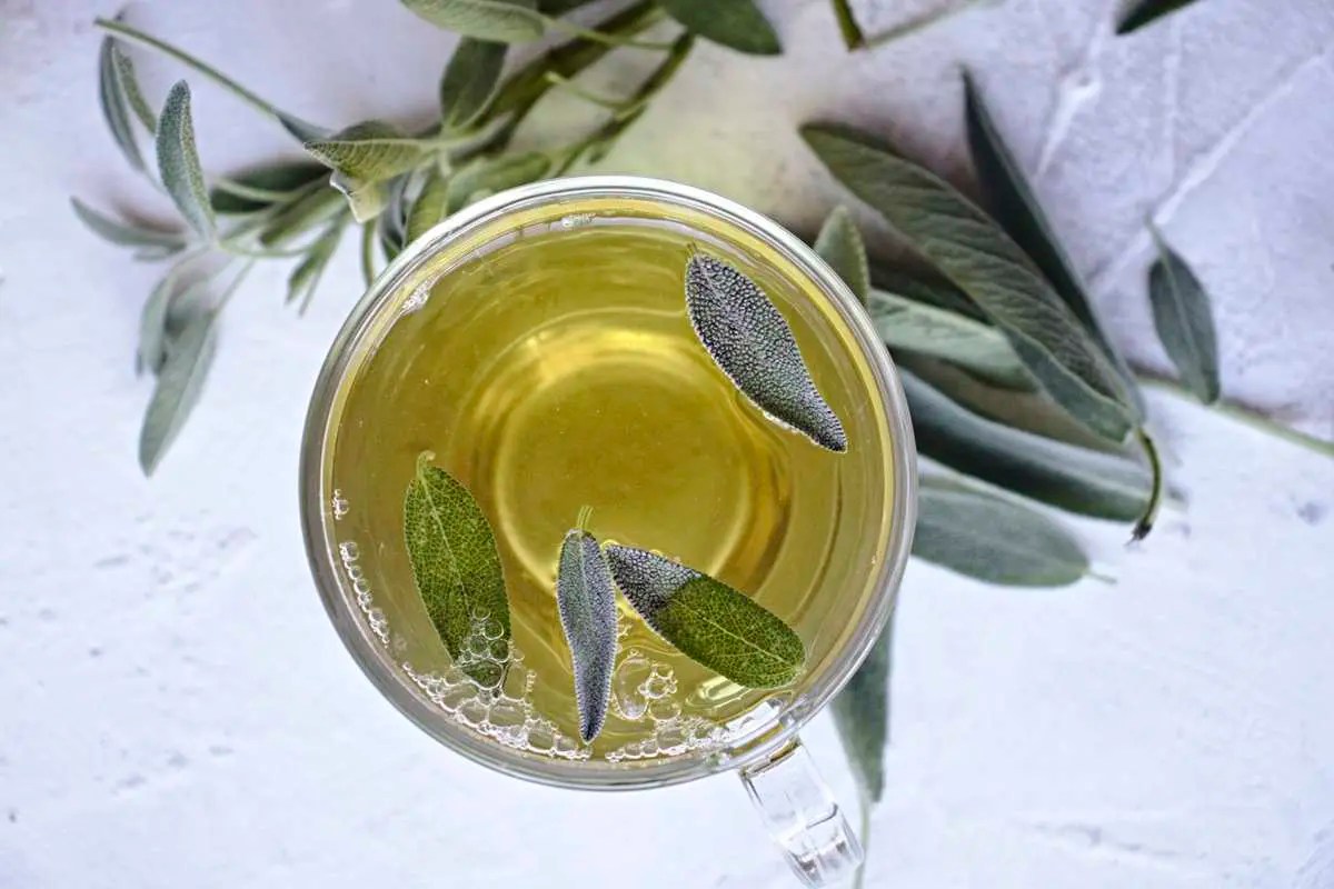 How to Make Sage Tea SimplyBeyondHerbs