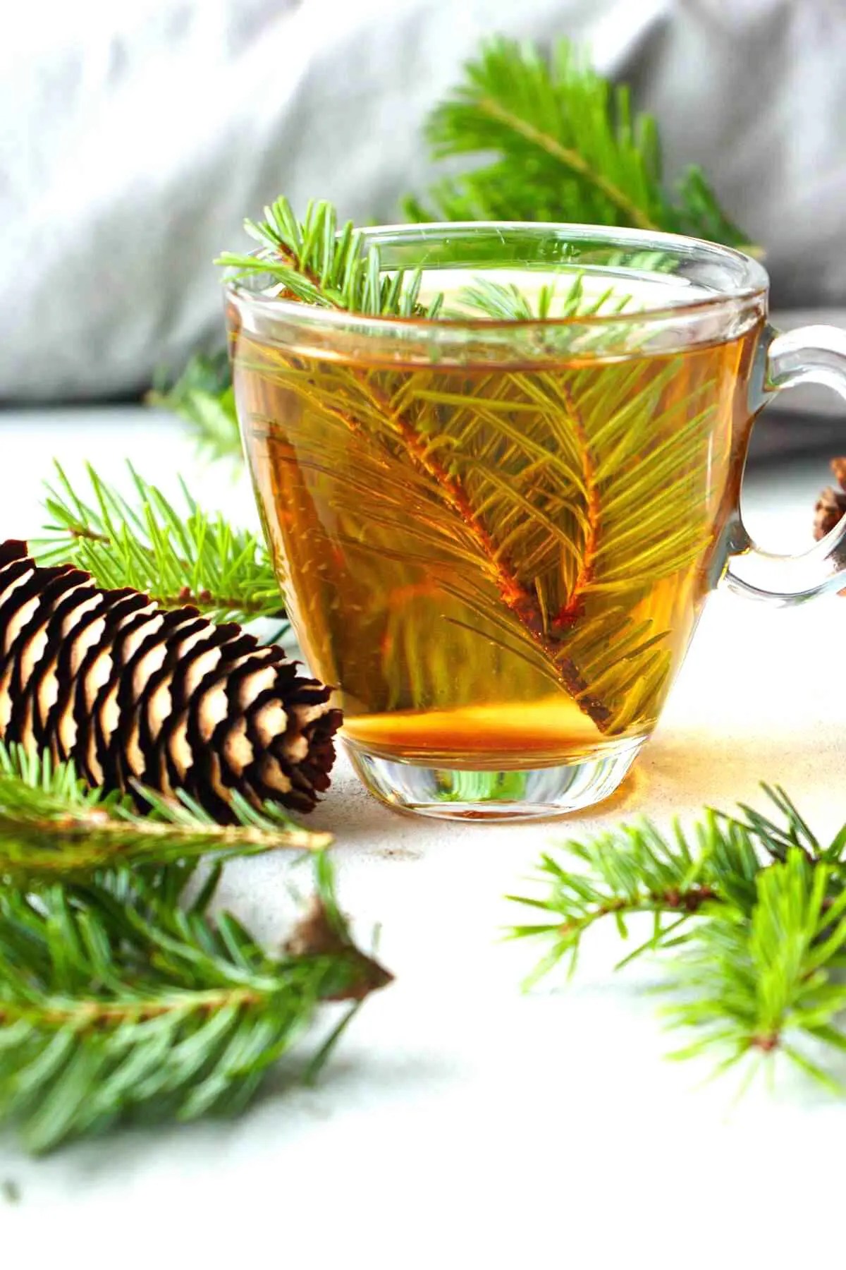 Pine Tea Recipe