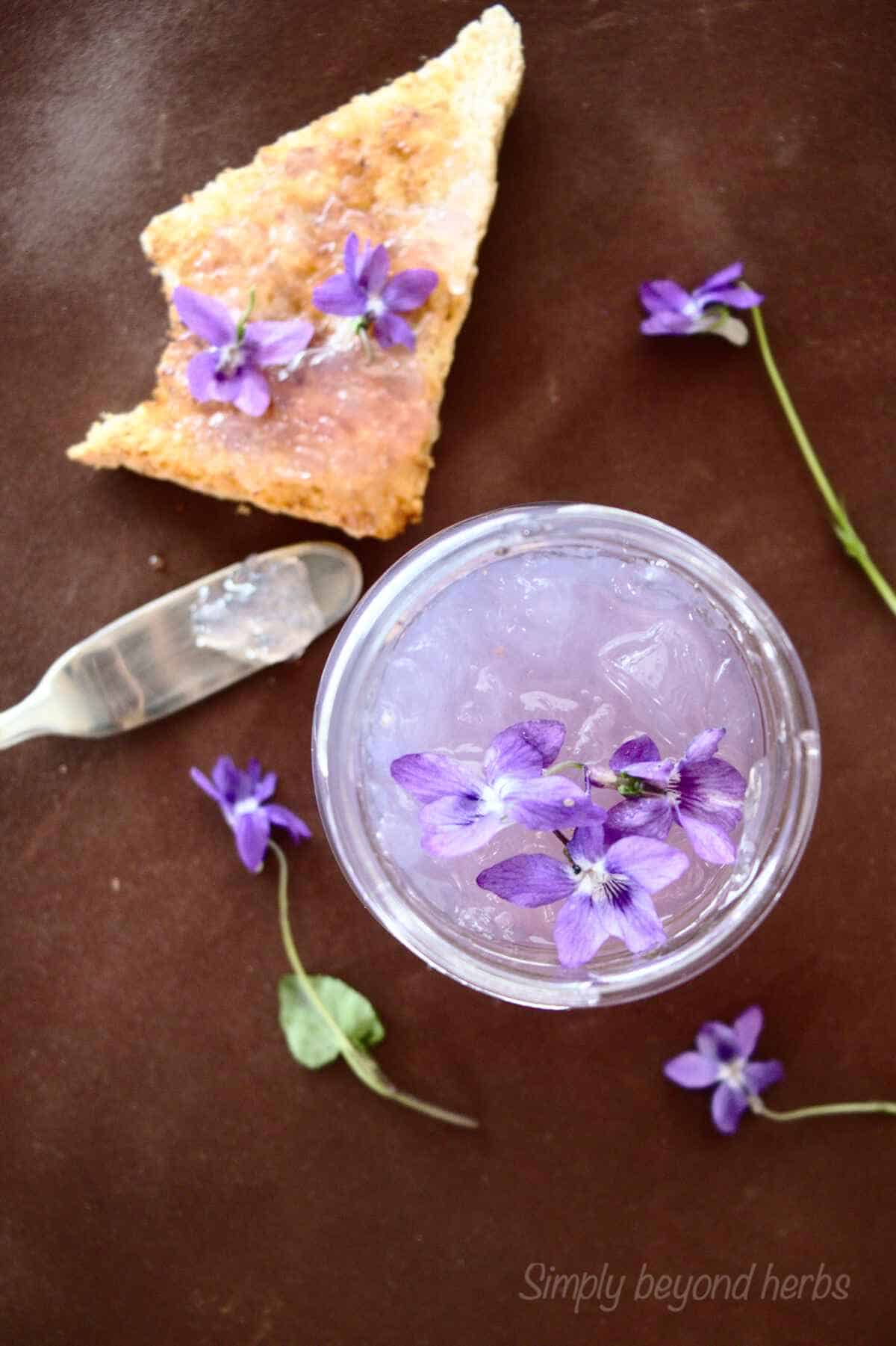 Wild Violet jelly recipe to bring summer to your kitchen