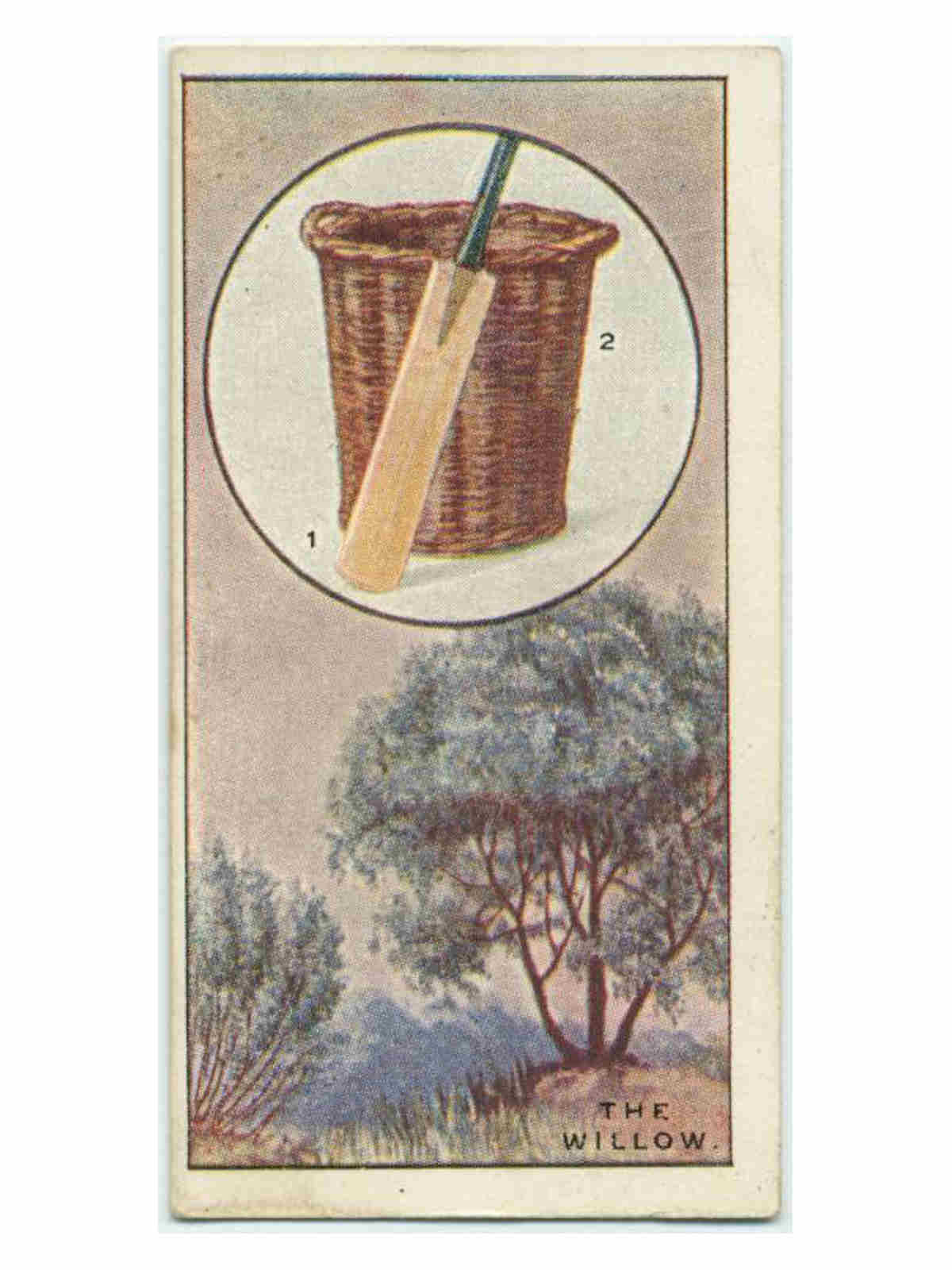 Willow Tree Symbolism and Meaning The Ultimate Guide SimplyBeyondHerbs