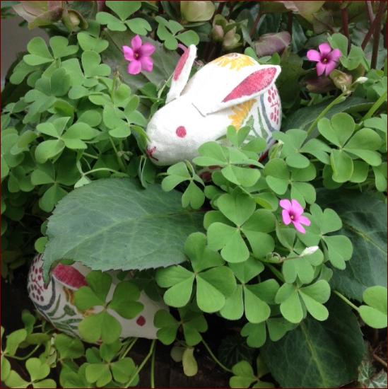 Brookhaven Buckhead Flowers Best Flower Site