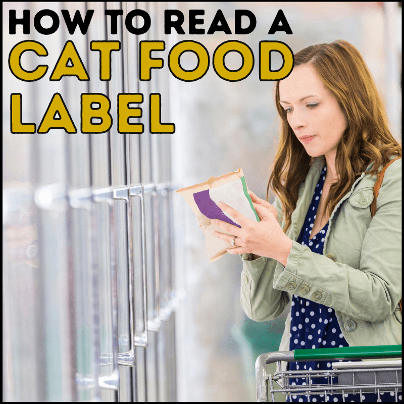 How To Read A Cat Food Label at Shirley Woods blog