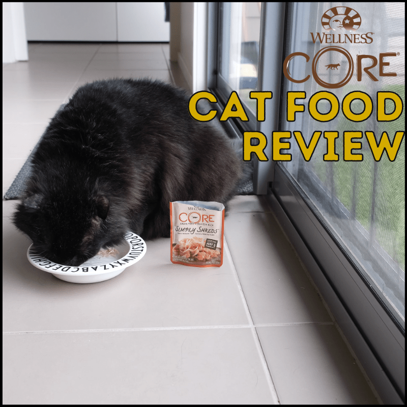 Honest Wellness Core Cat Food Review 2023