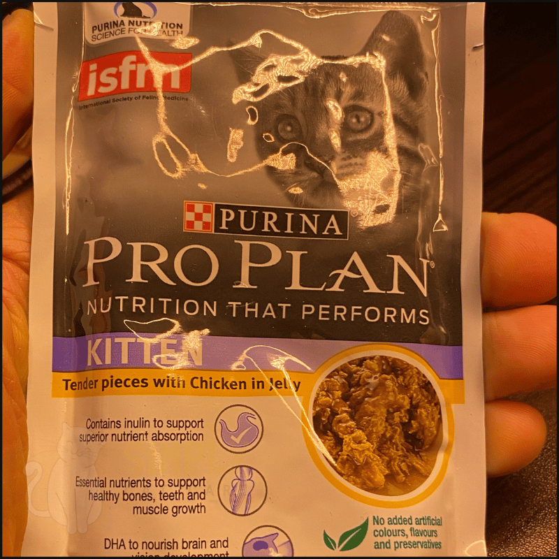 3 Best Cat Food for Gassy Kittens to Clear the Air in 2023