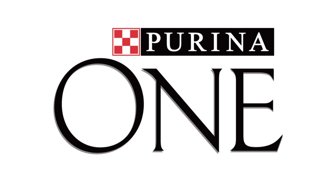 Honest Purina One Dry Cat Food Review in 2023