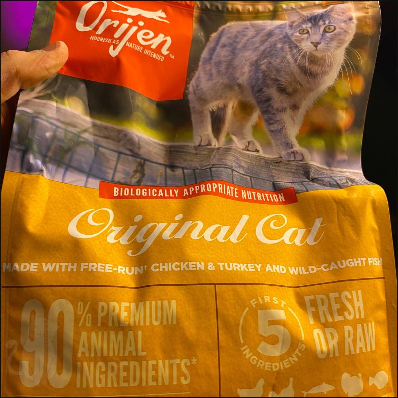 Honest Orijen Cat Food Review in 2024 Dry Cat Food Savior?