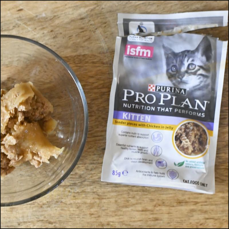 3 Best Cat Food for Cats With Diarrhea to Stop Sloppy Poos