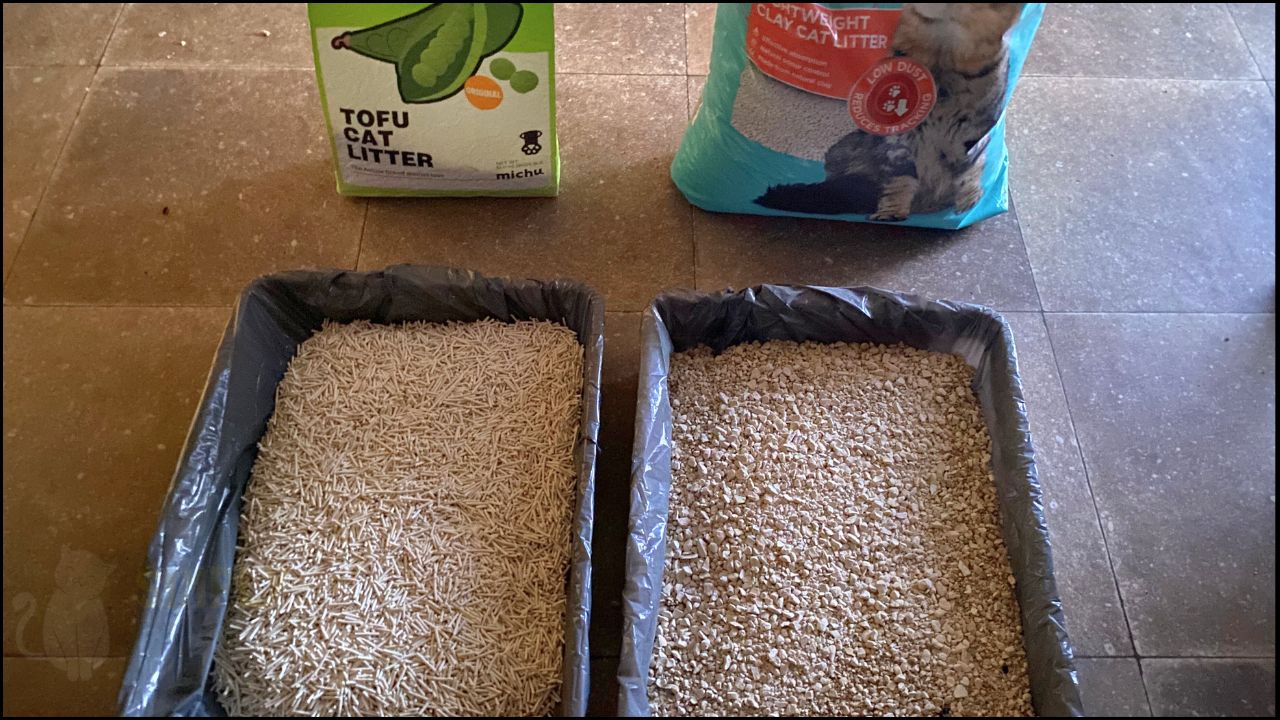 Honest Michu Cat Litter Review [Cat Tested]