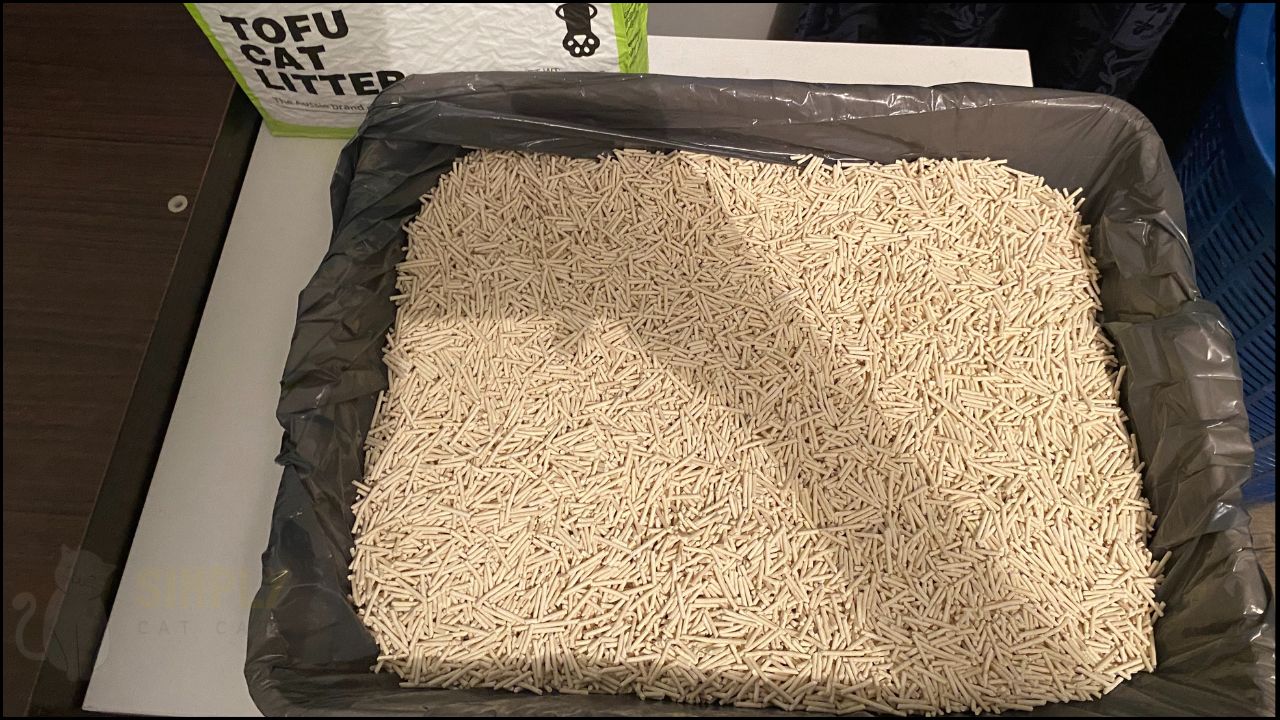 Honest Michu Cat Litter Review [Cat Tested]