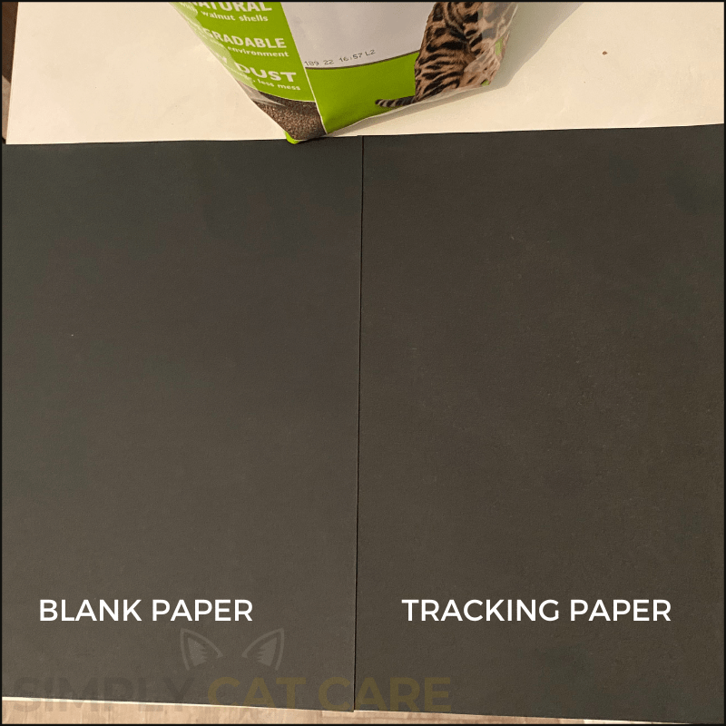 Honest Natures Calling Cat Litter Review Simply Cat Care