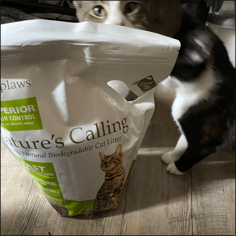 Honest Natures Calling Cat Litter Review Simply Cat Care