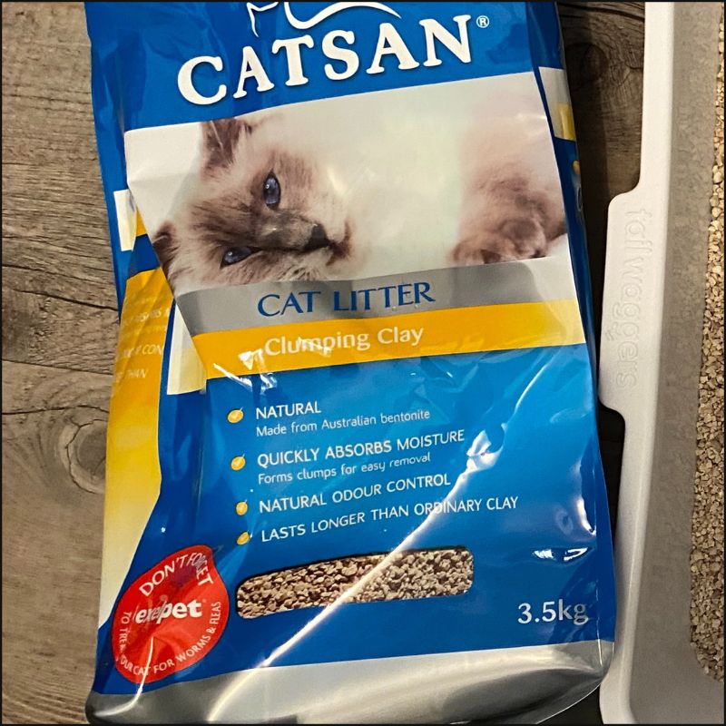 4 Best Cat Litter in Australia [Cat Tested]