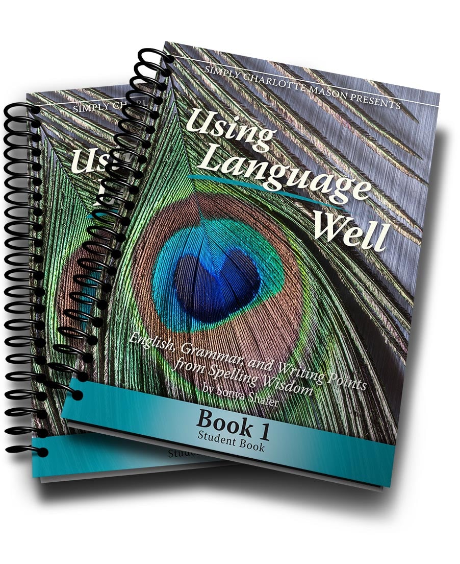 Using Language Well Book 3 (Charlotte Mason Language Arts)