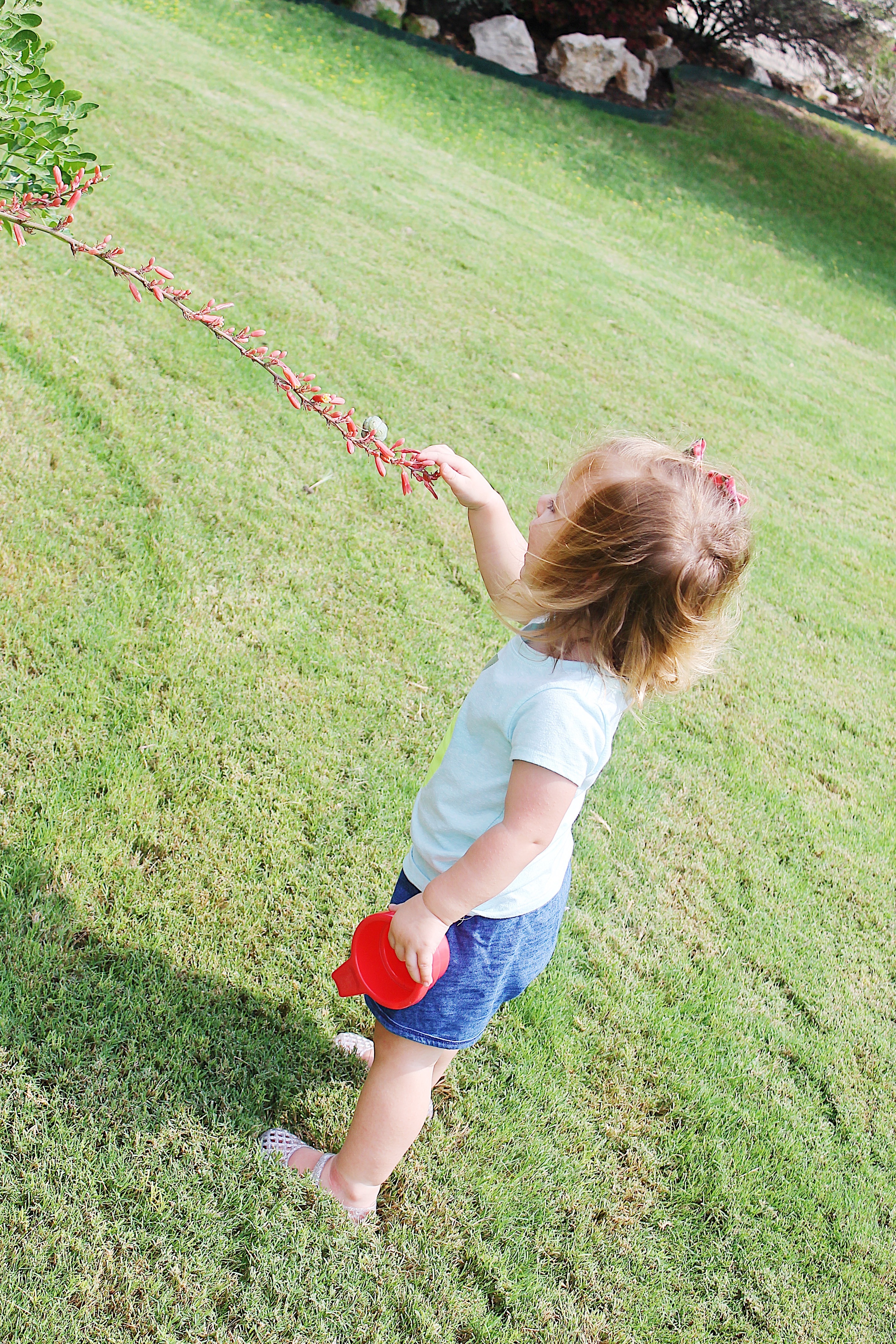 12 Summer Outdoor Toddler Activities Simply Clarke