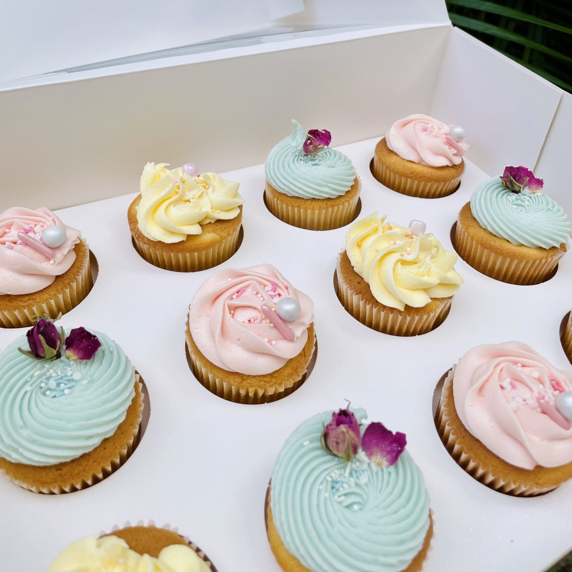 The Pastel Cupcakes Simply Cupcakes