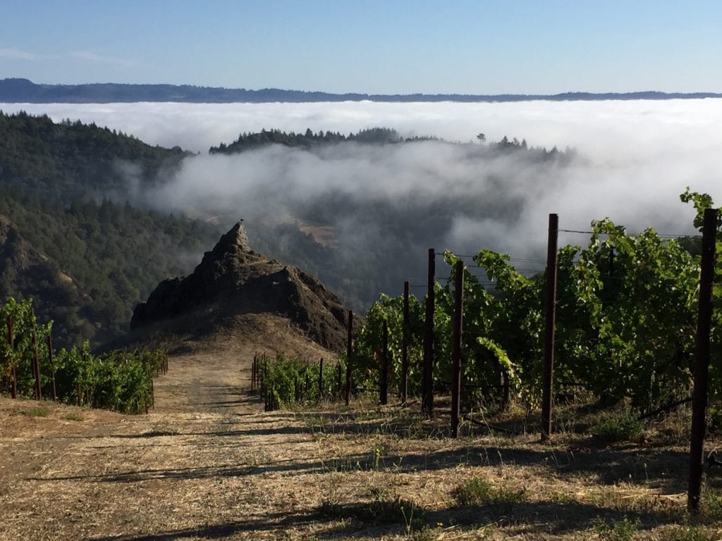 Spring Mountain Wine Tours Simply Driven