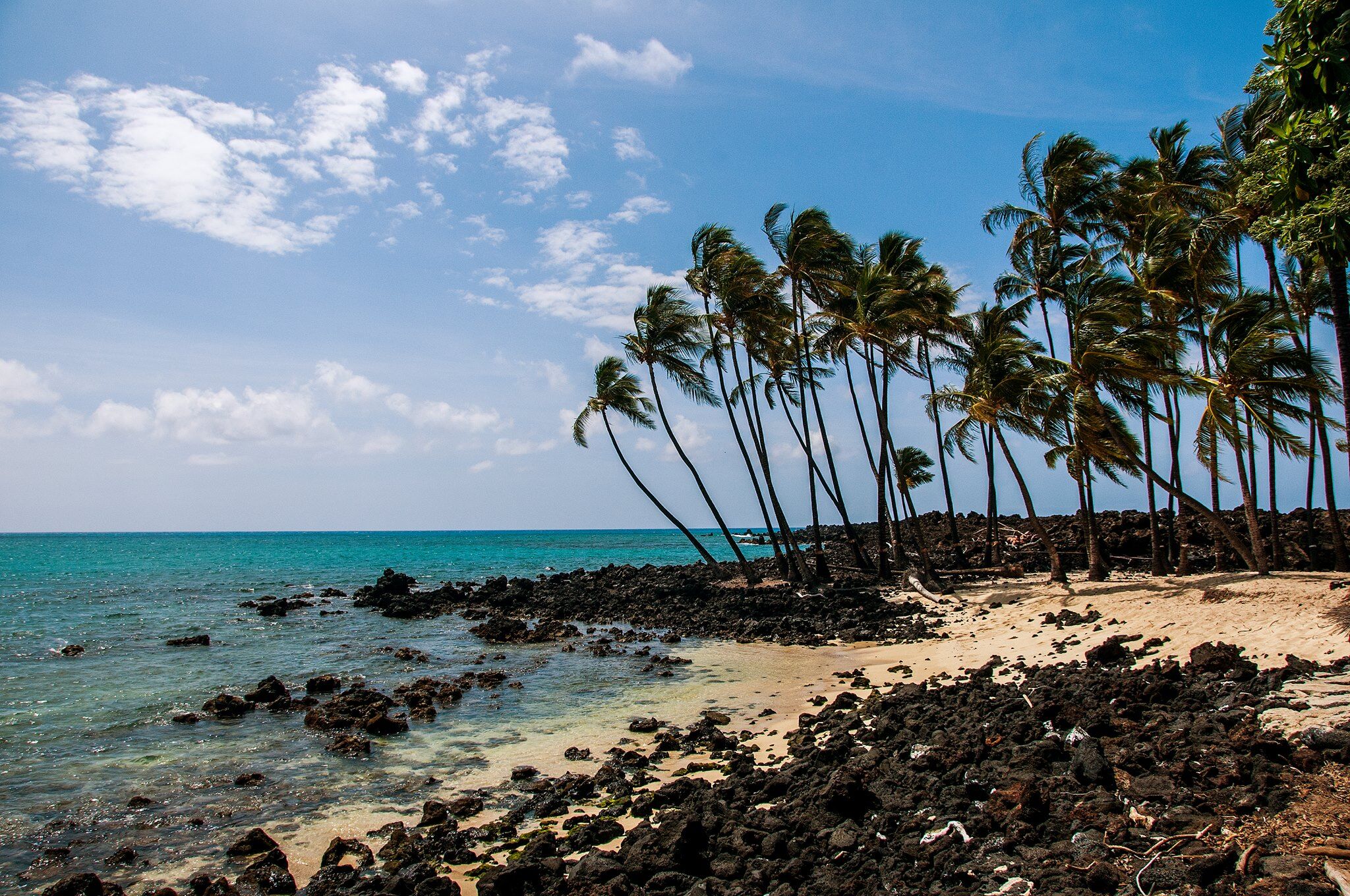 Wedding Background Images For Zoom / Check out our wedding background