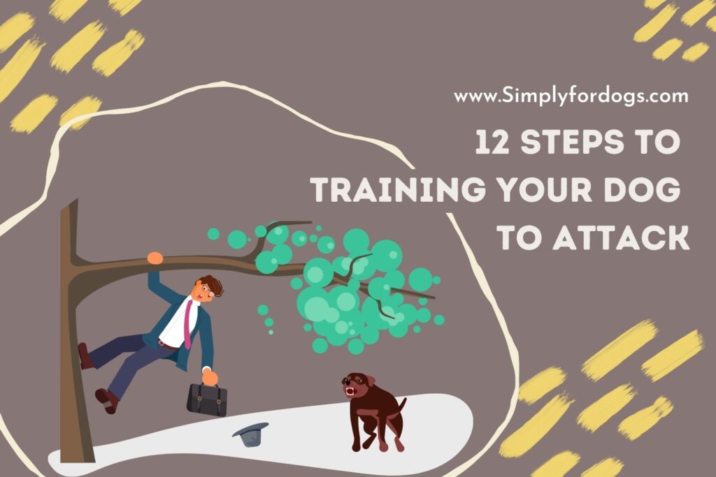 Can I Train My Dog to Attack? (Easy Trics) Simply For Dogs