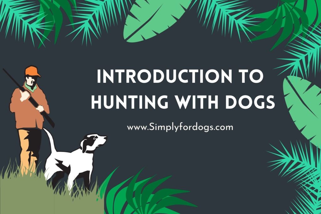 Introduction to Hunting with Dogs (Teach and Learn) Simply For Dogs