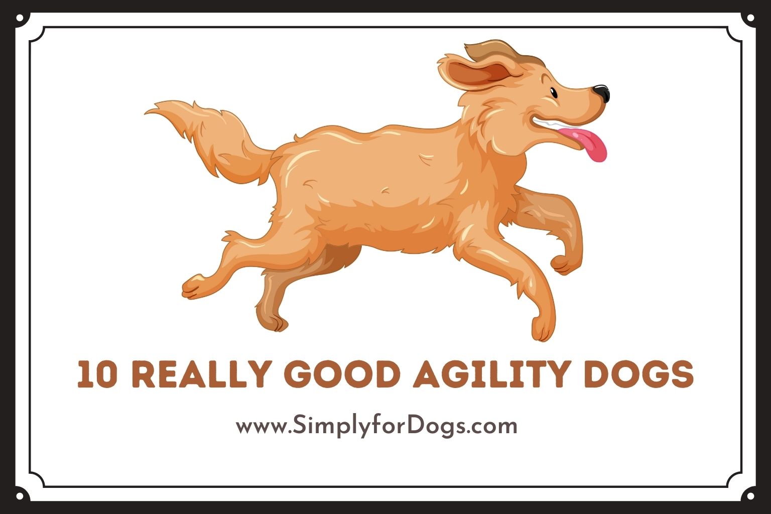 10 Really Good Agility Dogs (You Must Love Them) Simply For Dogs