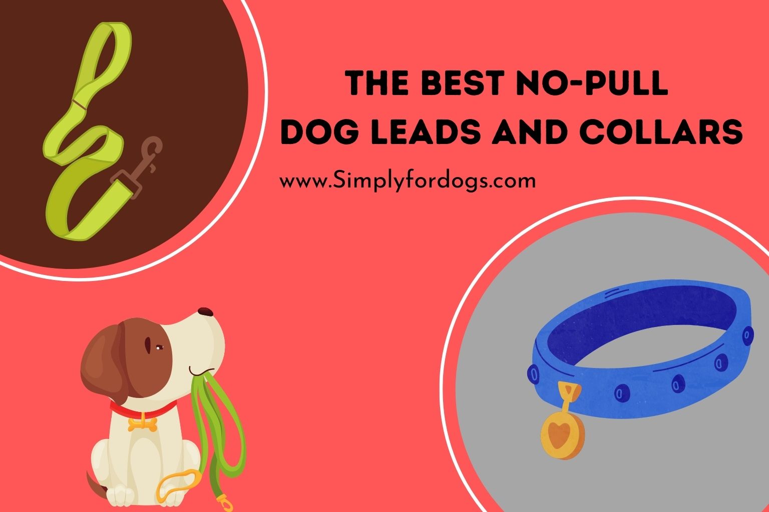 Best NoPull Dog Leads and Collars (Most Popular in The Market)