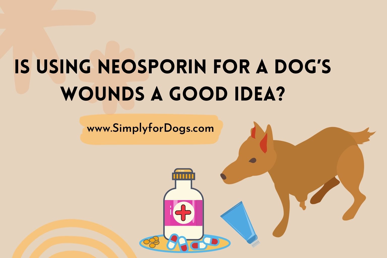 Is Using Neosporin for a Dog's Wounds a Good Idea? (Is It Safe?)