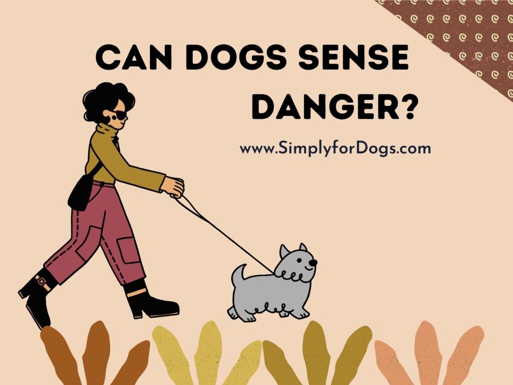 How Can Dogs Sense Danger? (How and When) Simply For Dogs