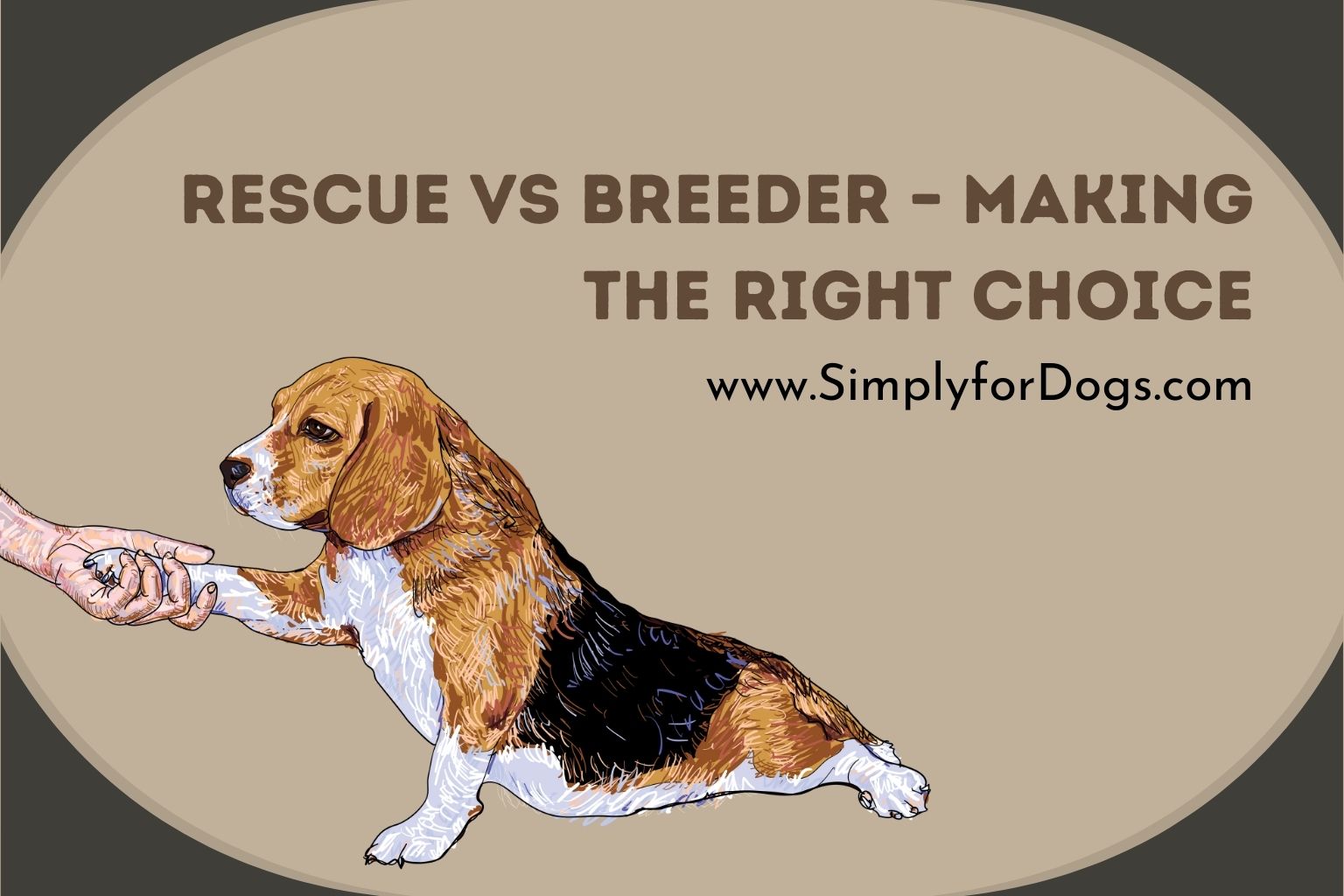 Rescue vs Breeder Making the Right Choice (Owners Must Know) Simply
