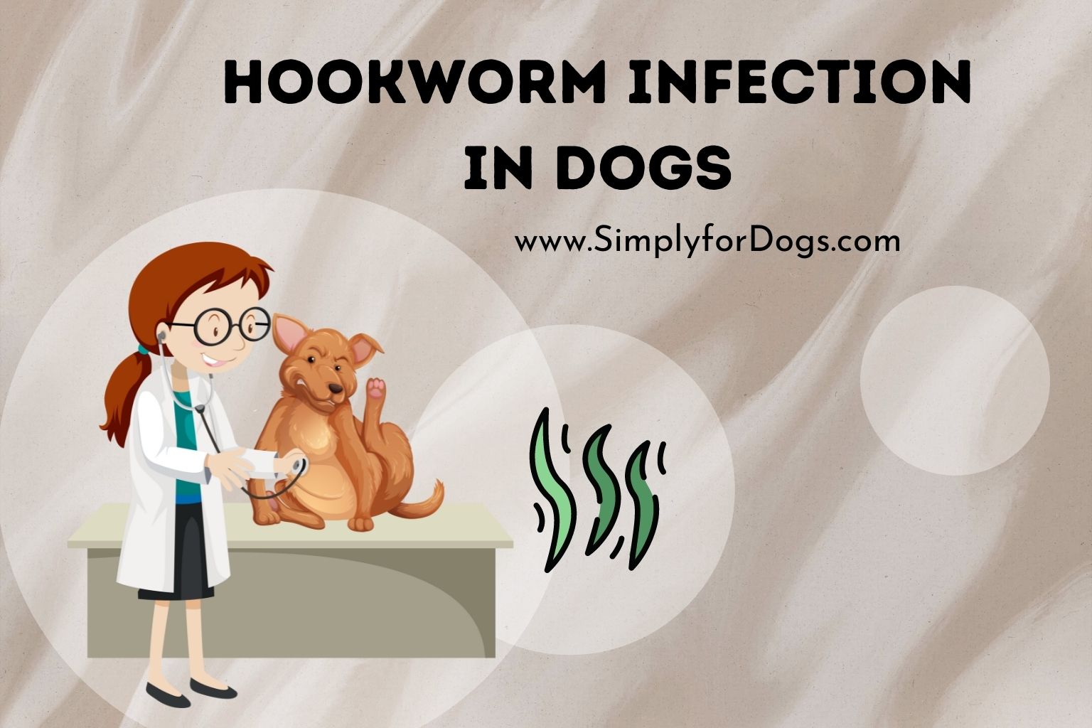 Hookworm Infection in Dogs (Quick Prevent) Simply For Dogs