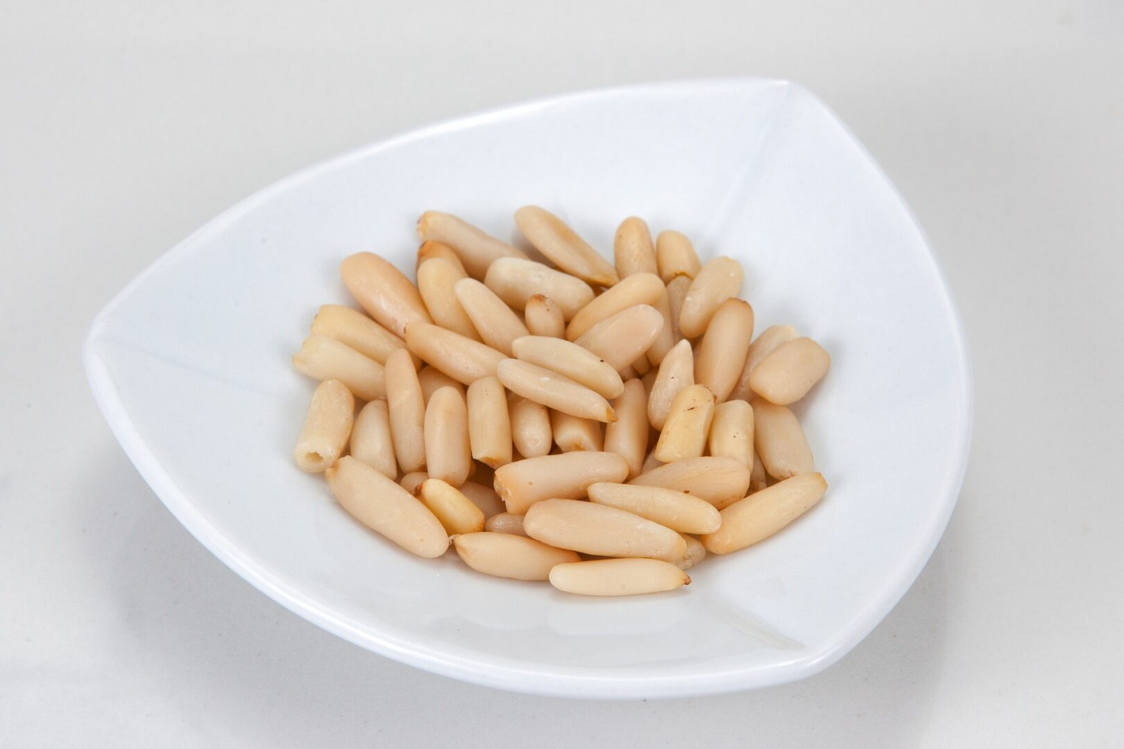 CanDogsEatPineNuts Simply For Dogs