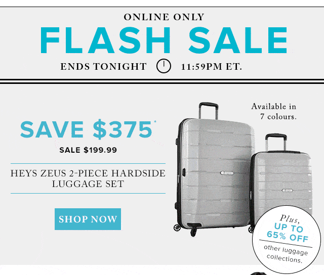 Hudson's Bay Heys Zeus 2 Piece Hardside Luggage Set 375 Off (Today Only)