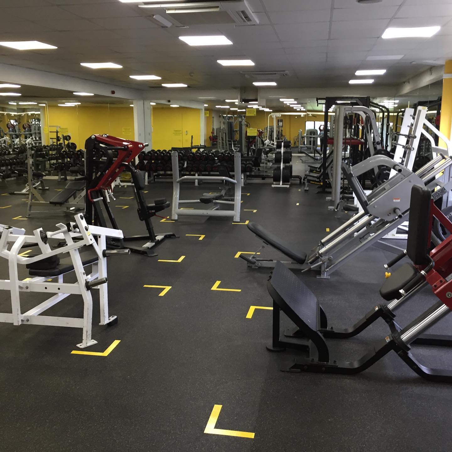 Member Login Simply Gym