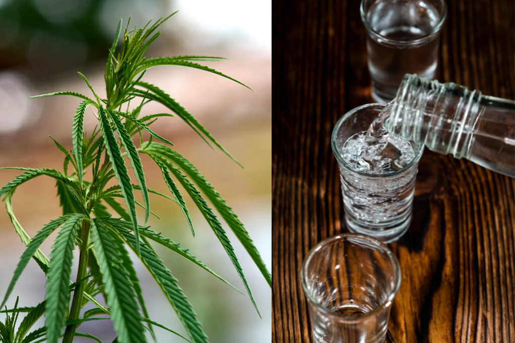 Hemp Vodka ???? Simply Hemp Shop