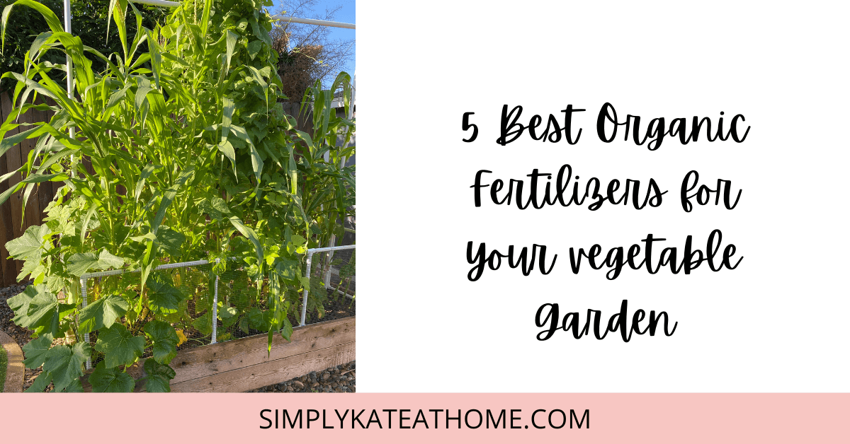 5 Best Organic Fertilizers For Your Vegetable Garden SIMPLY KATE AT HOME