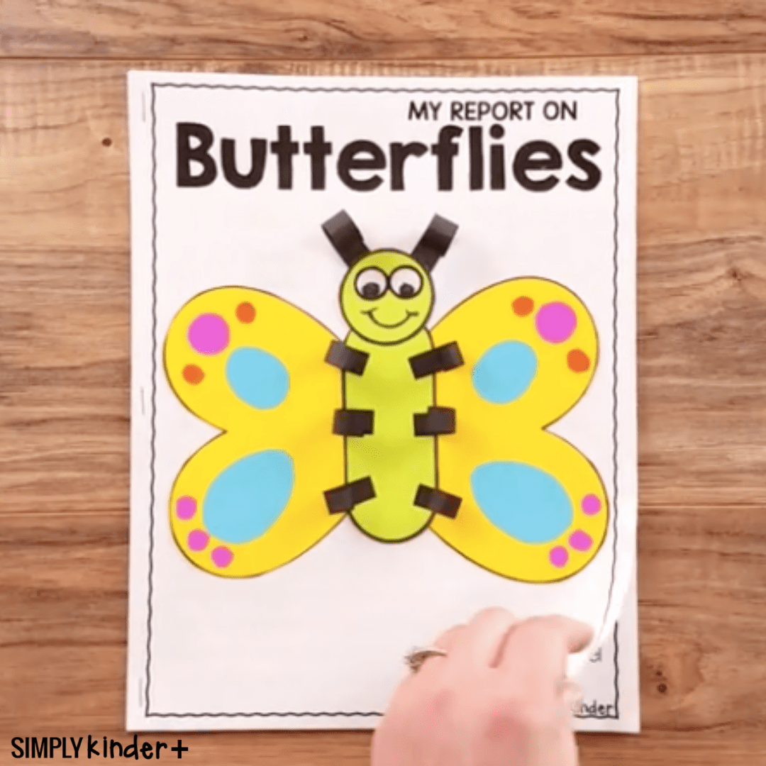 Butterfly Craft Simply Kinder Plus