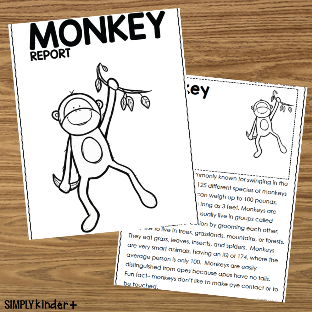 Monkey Research Report Simply Kinder Plus