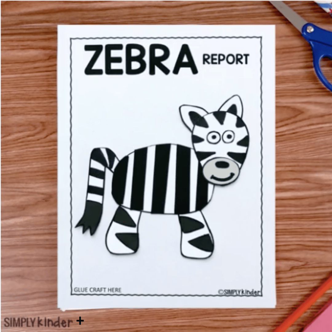 Zebra Craft Simply Kinder Plus
