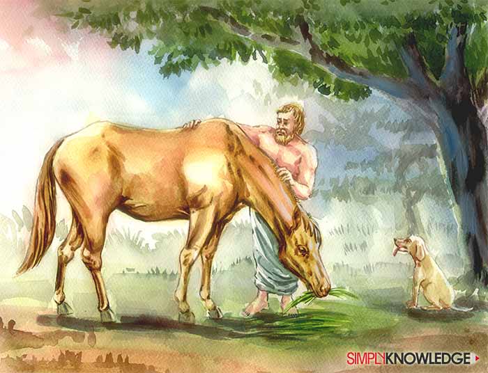 Biography of Xenophon Simply Knowledge