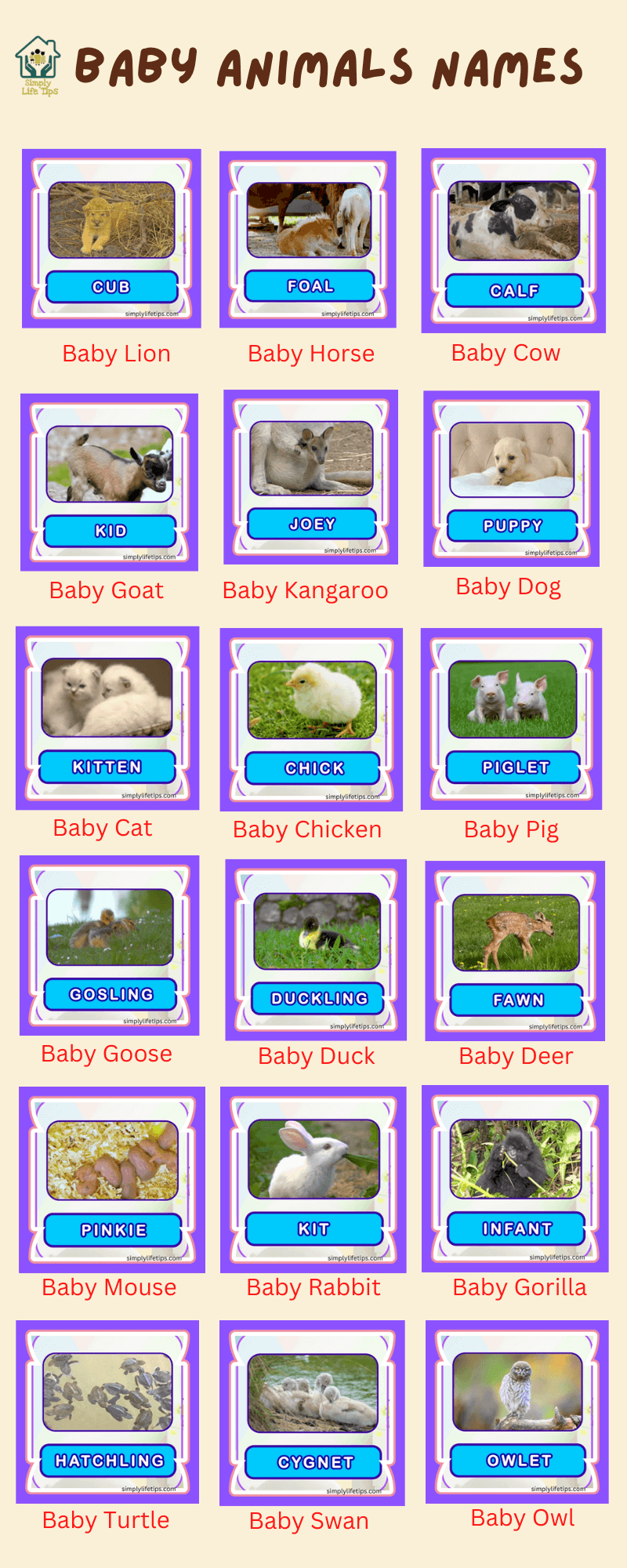 Baby Animals Names Fun Facts About Baby Animals For Kids Simply